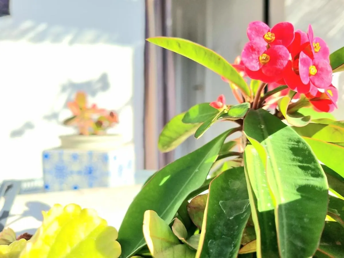 Downtown Pueblo Lopez Eco Apartment In Fuengirola Center